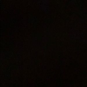 Meet your Posher, Pasquale